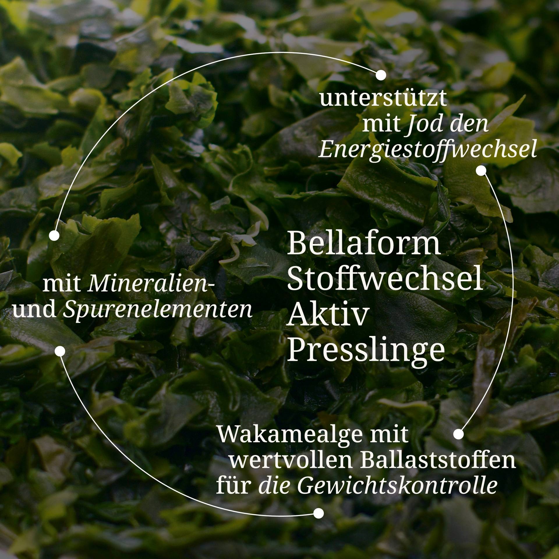 20240113_pdp Bilder16.jpg