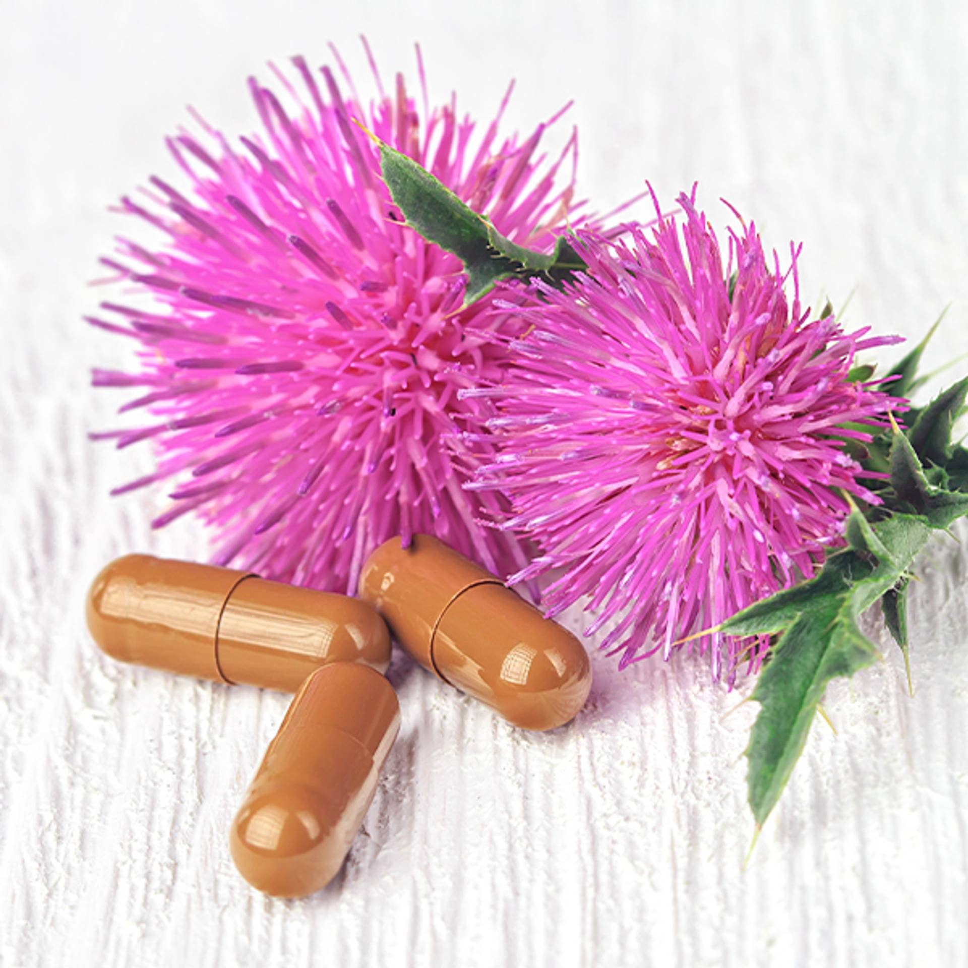 Buying milk thistle - What you should know!