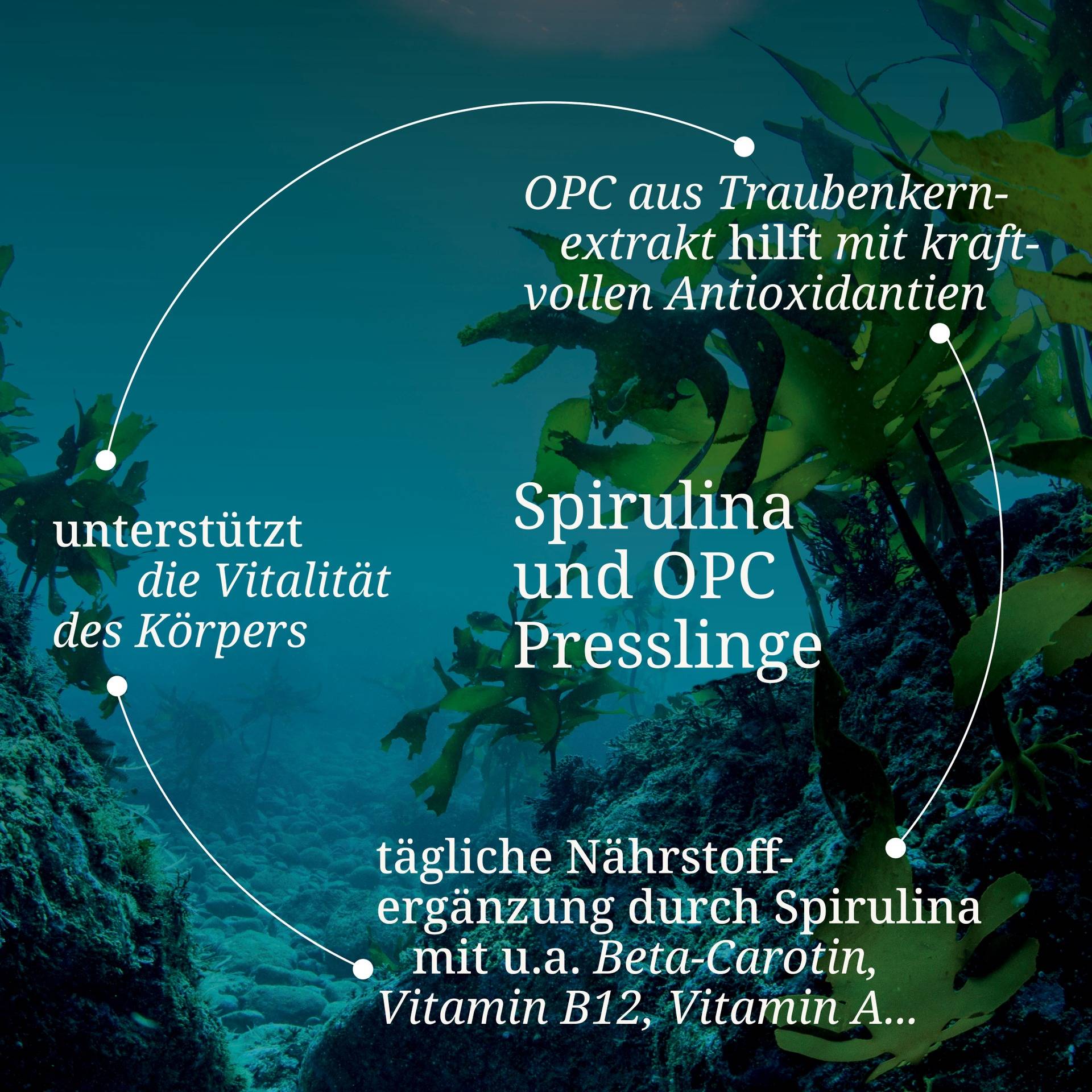 Spirulina und OPC Presslinge.jpg