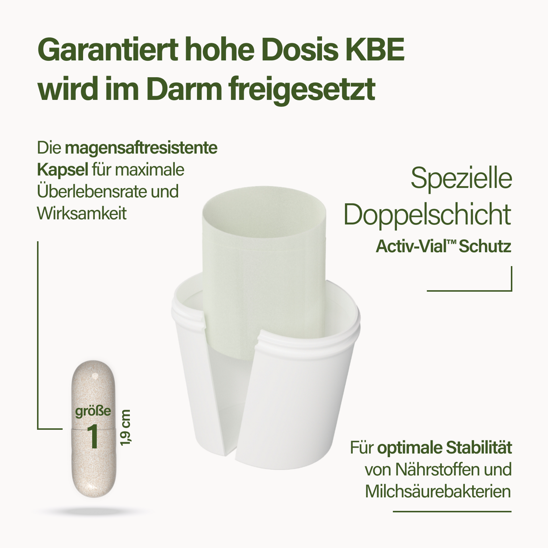 Bild zeigt in stilisierter Weise den Kapselaufbau mit Hinweis spezielle Doppelschicht für optimale Stabilität magensaftresistente Kapsel Kapselgröße 1,9 cm