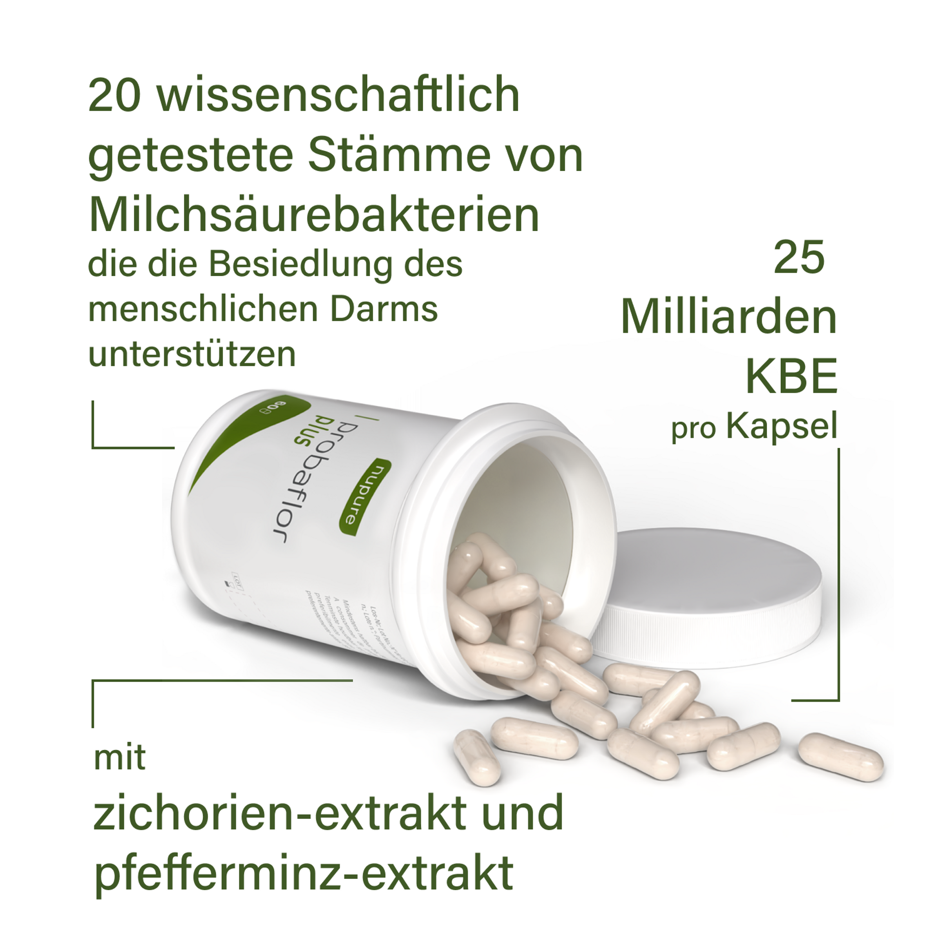 Bild von Probaflor Verpackung und Kapseln mit Hinweis 20 wissenschaftlich getestete Stämme von Milchsäurebakterien 25 Milliarden KBE pro Kapsel mit Zichorienextrakt und Pfefferminzextrakt