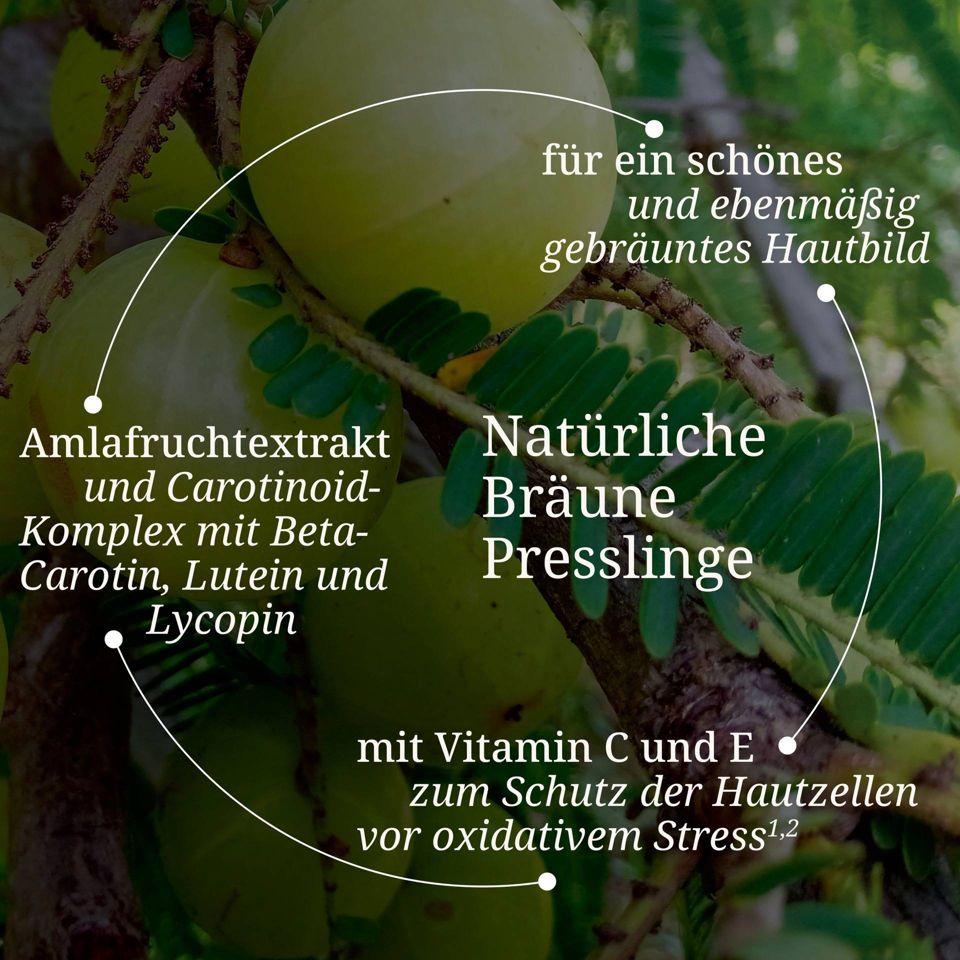 Natürliche Bräune Presslinge.jpg