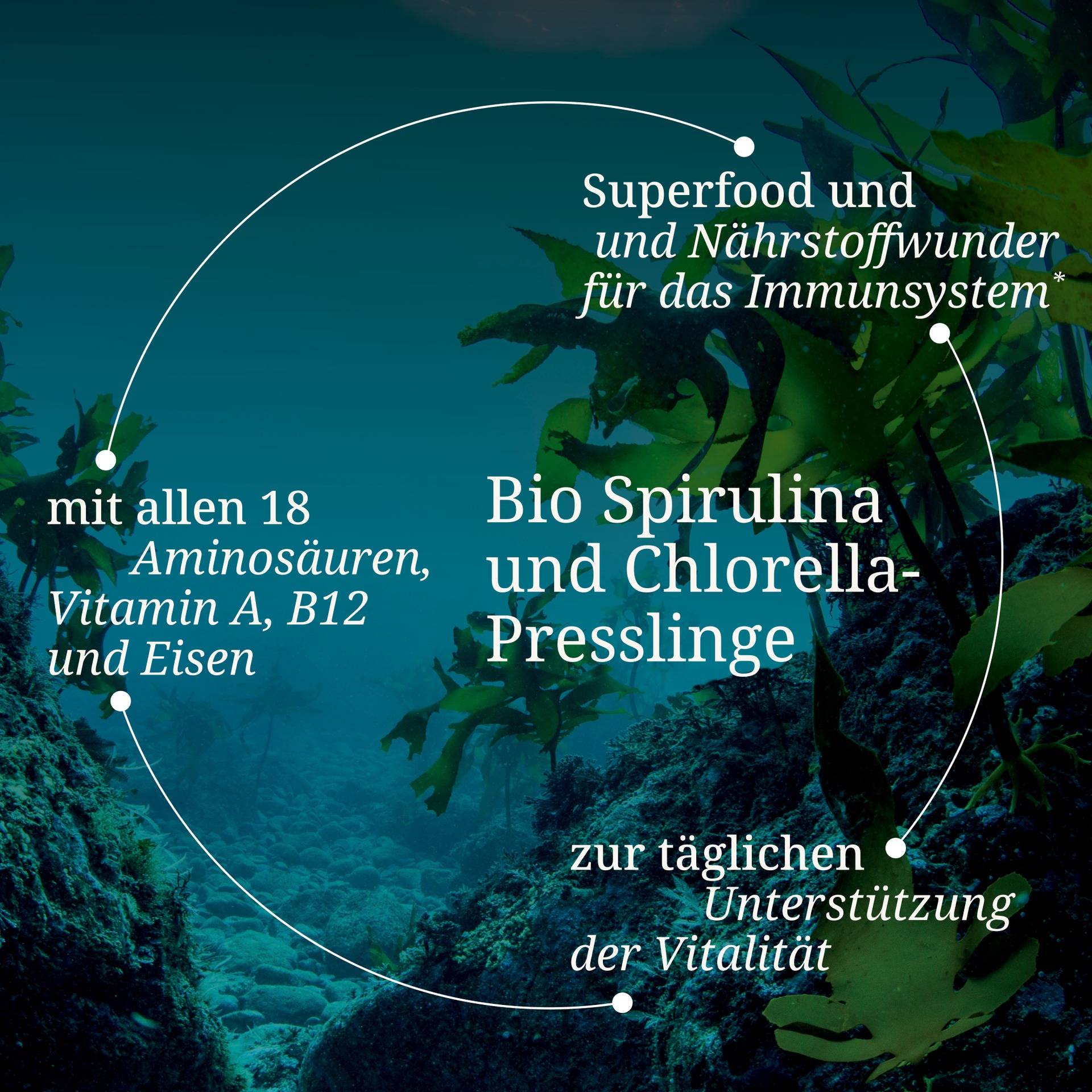 Bio Spirulina und Chlorella Presslinge.jpg