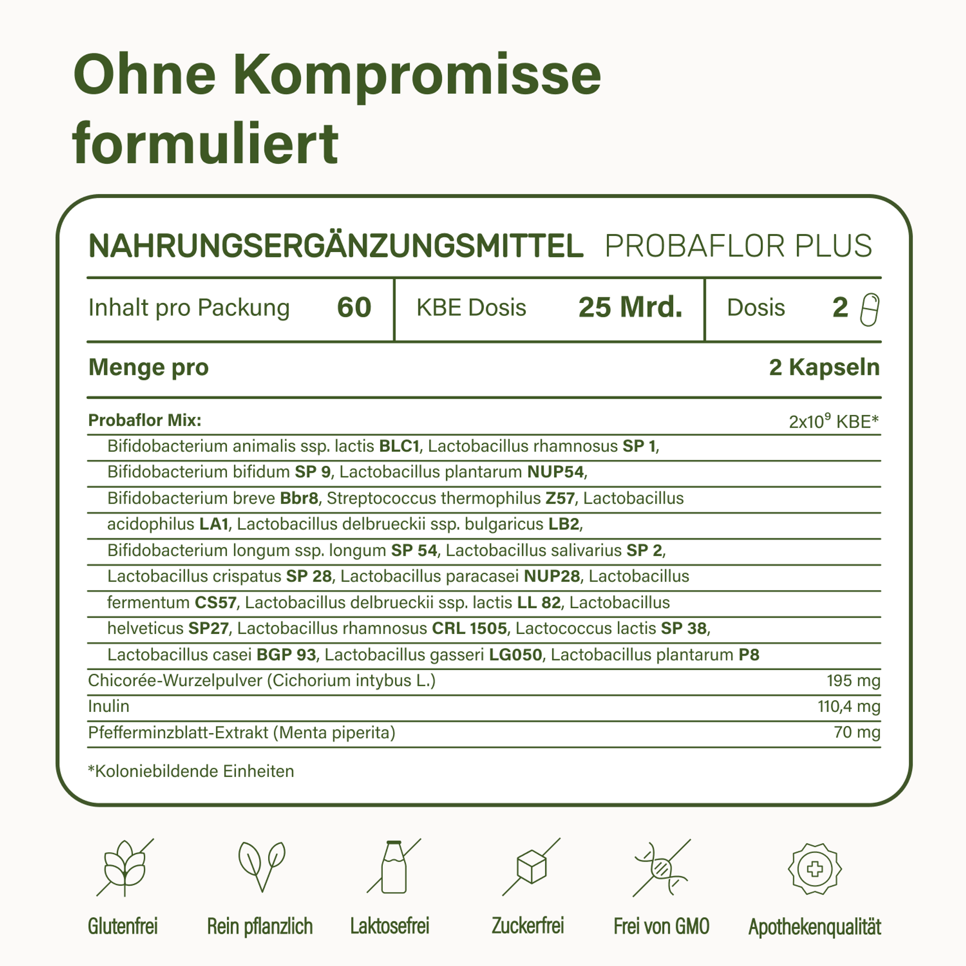 Bild zeigt die Nährwerttabelle von Probaflor Plus zur Tagesdosis von 2 Kapseln mit 2 mal 10 hoch 9 KBE Bakterien 195 mg Chicoree Wurzelpulver 110,4 mg Inulin 70 mg Pfefferminzblattextrakt Packungsinhalt 60 Kapseln glutenfrei laktosefrei zuckerfrei GMO frei rein pflanzlich