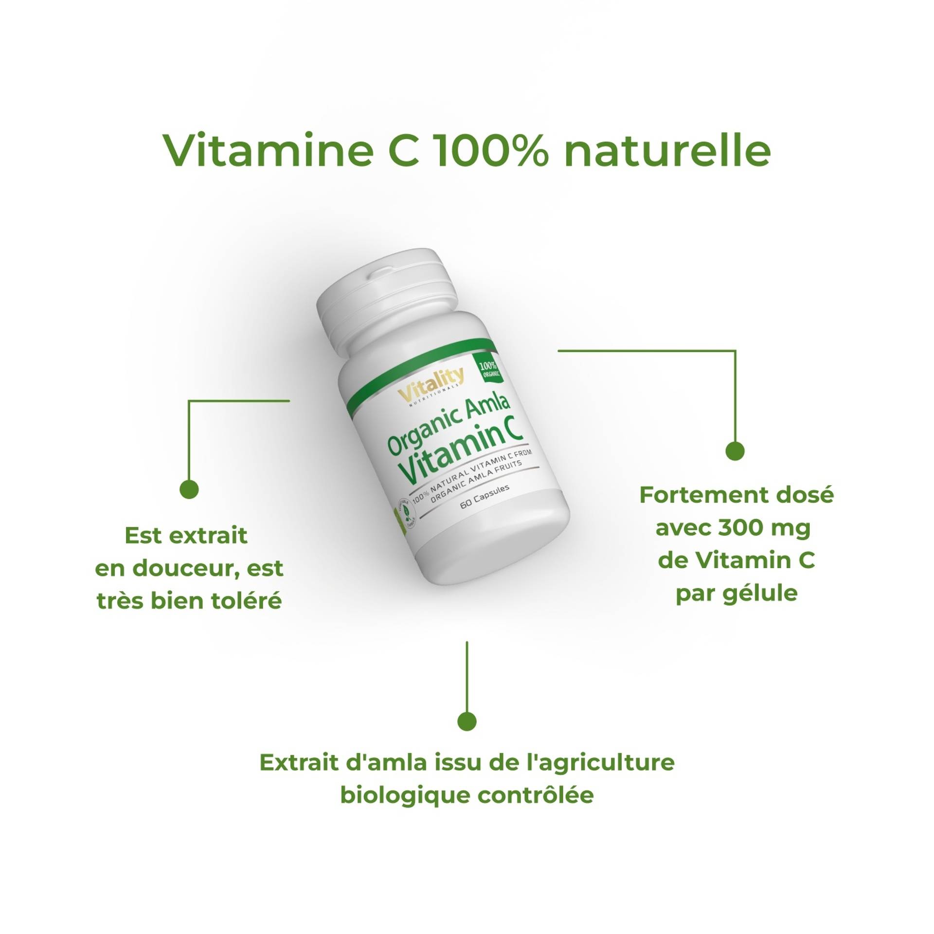 3_FR_Benefits_Organic-Amla-Vitamin-C_6971.png