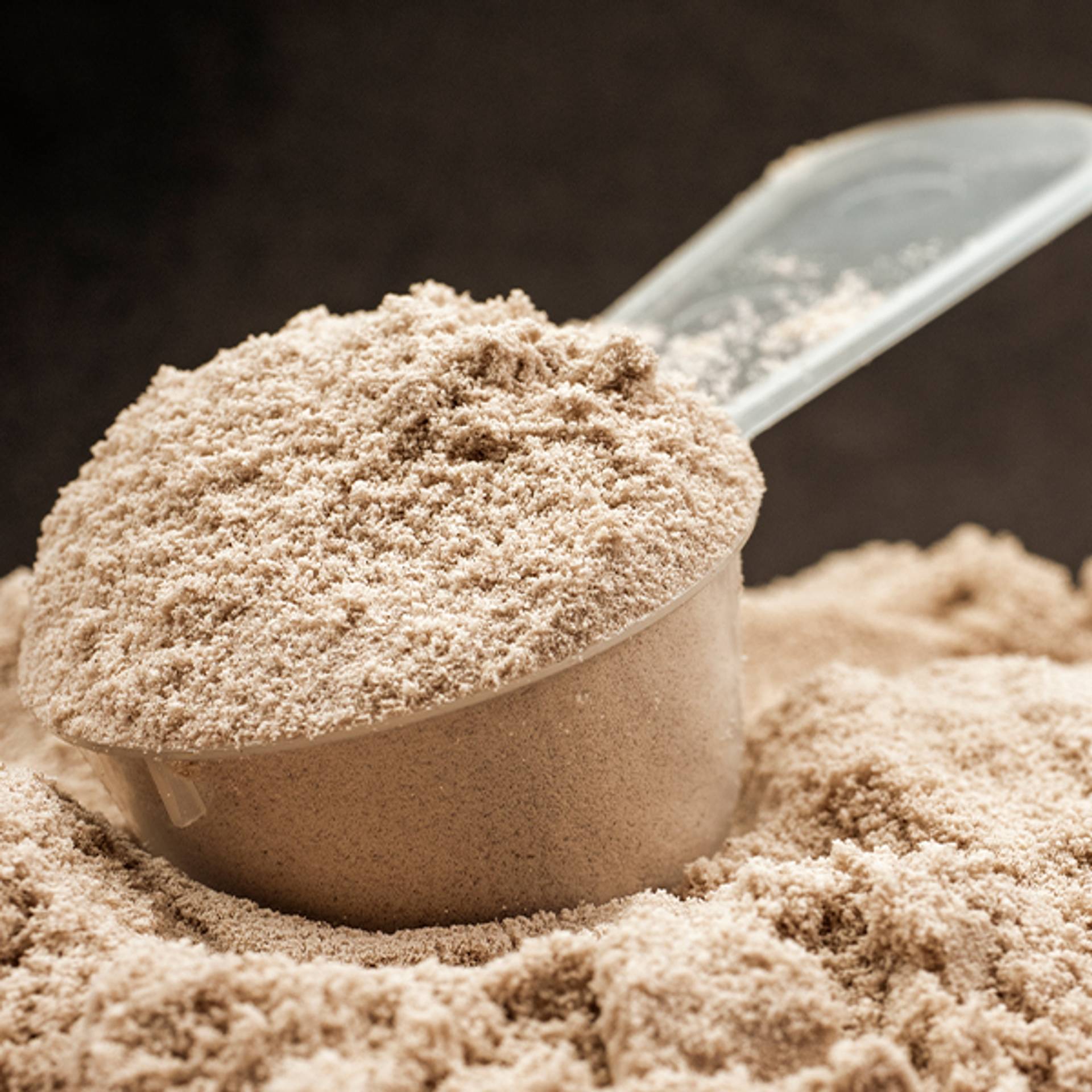 Whey Protein - the ultimate source of protein