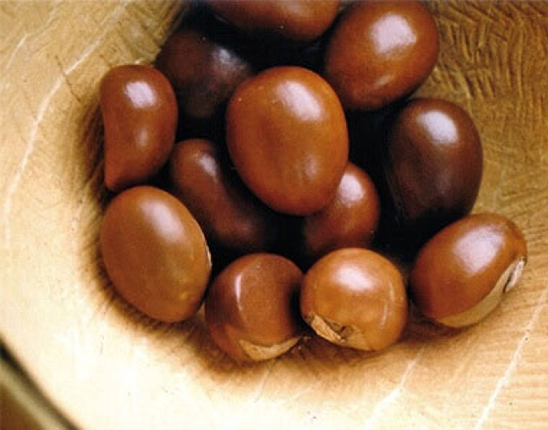 Shea Herkunft, Inhaltsstoffe & Wirkung Bärbel Drexel