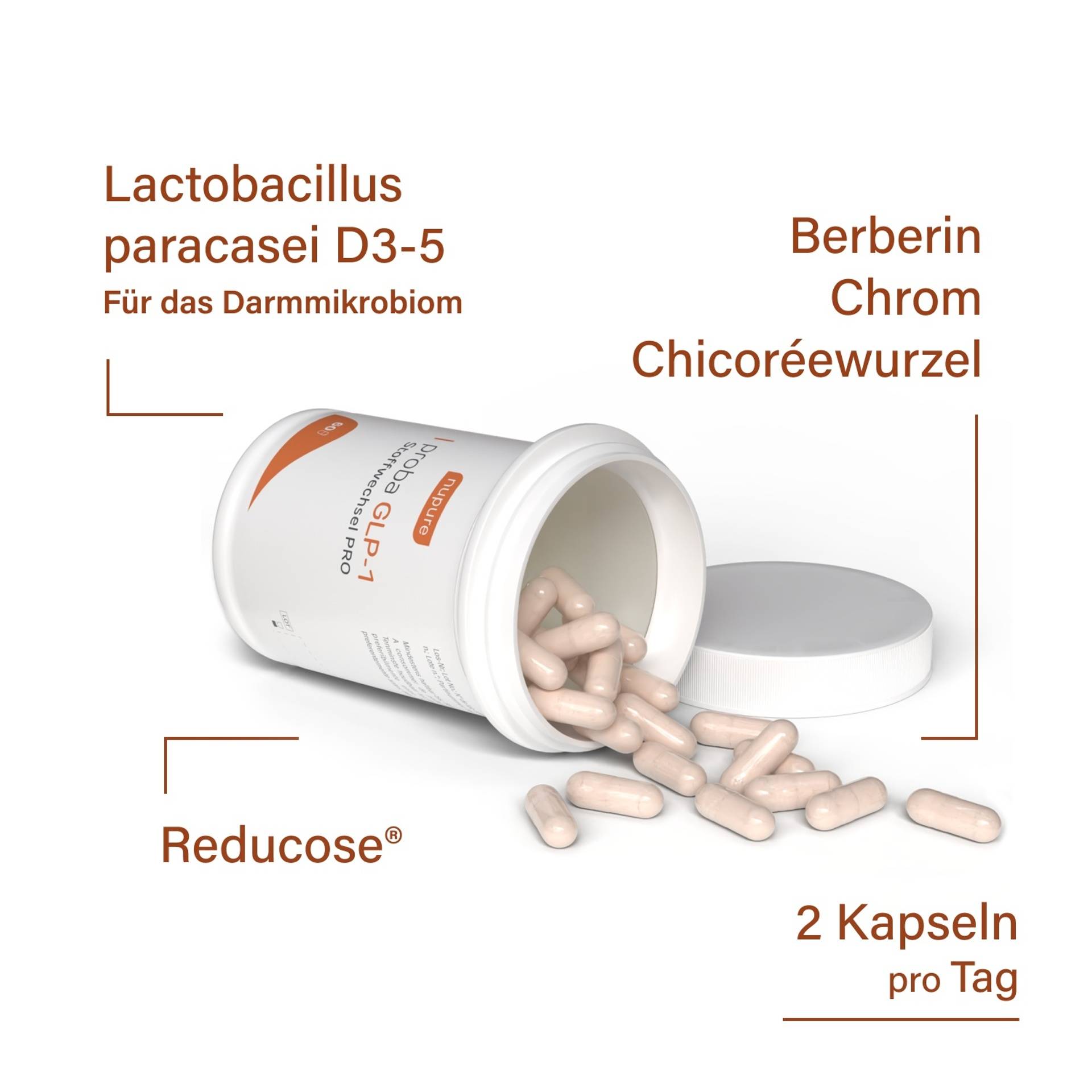 nupure proba GLP1 Stoffwechsel PRO VitaminExpress