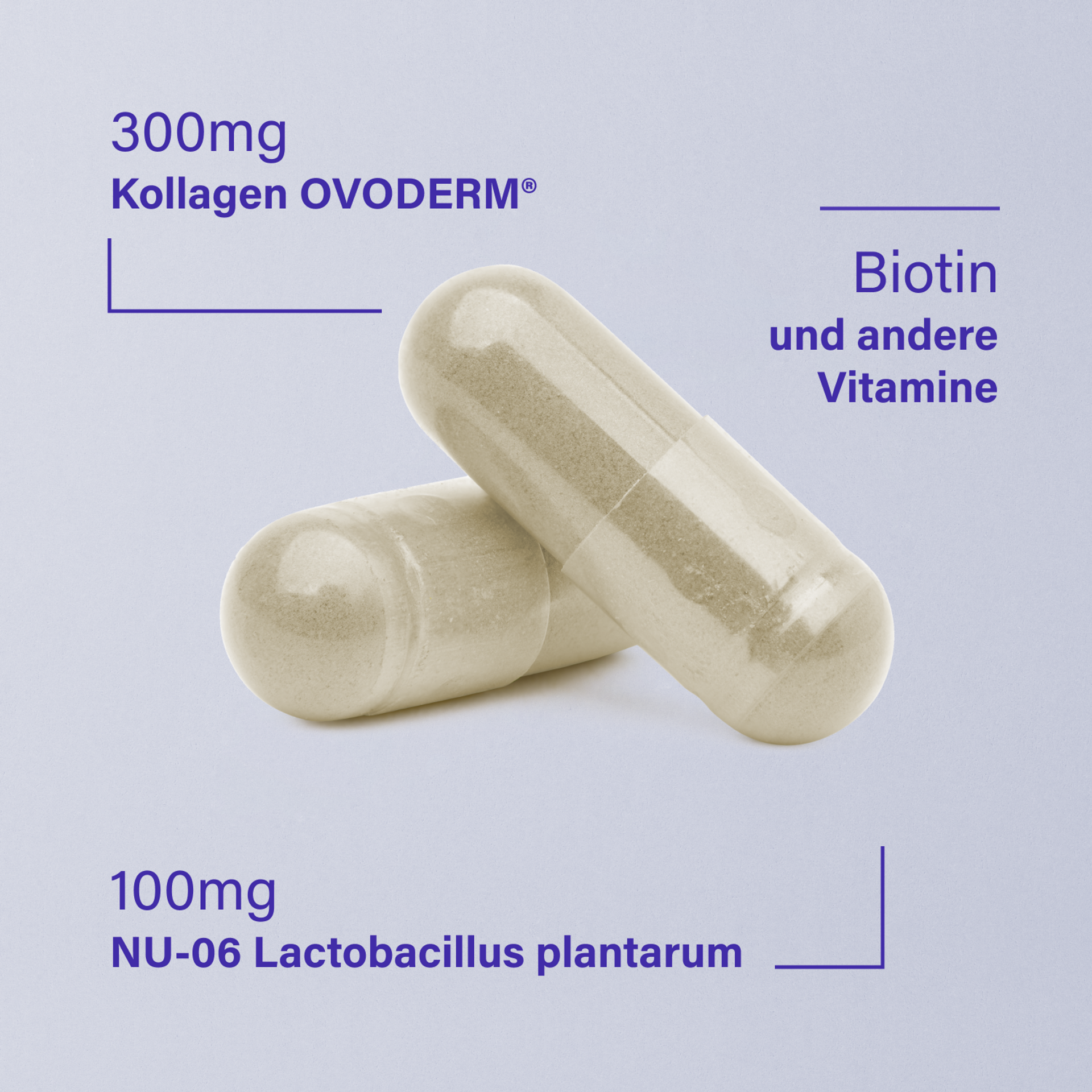 Probaskin_Collagen_Capsules_60_Key_Ingredients_PDP_Image