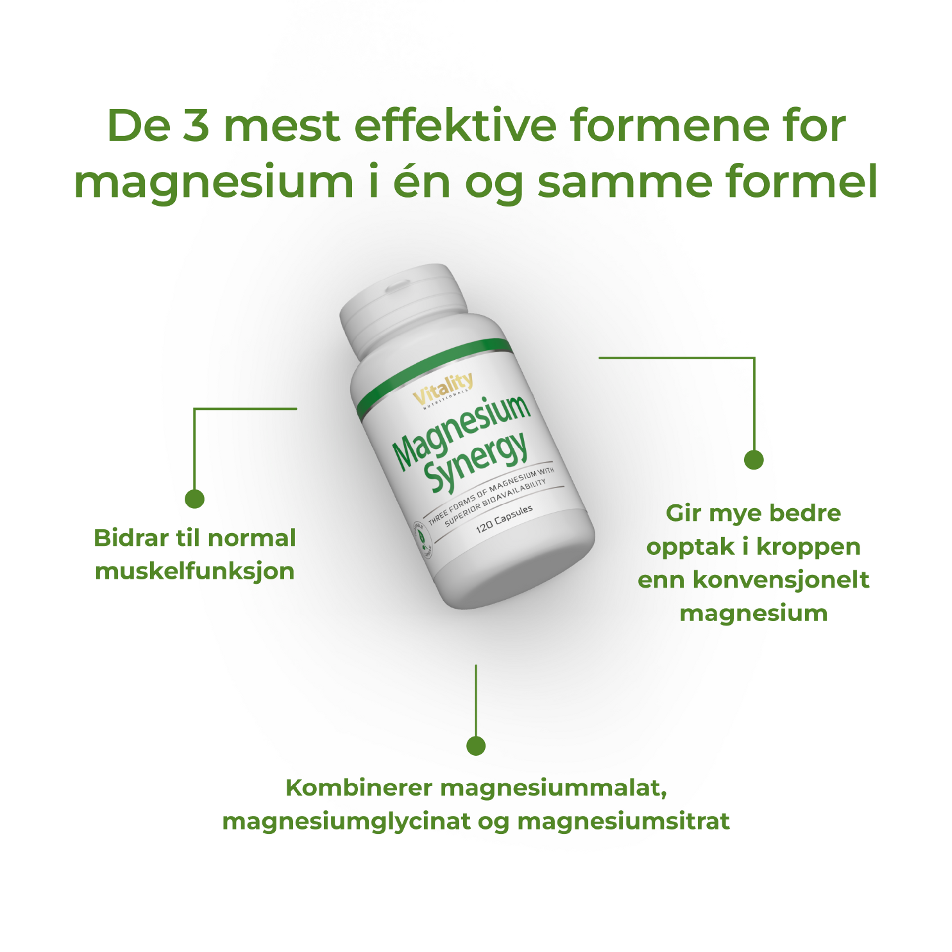 3_NO_Benefits_Magnesium Synergy_6813-04.png