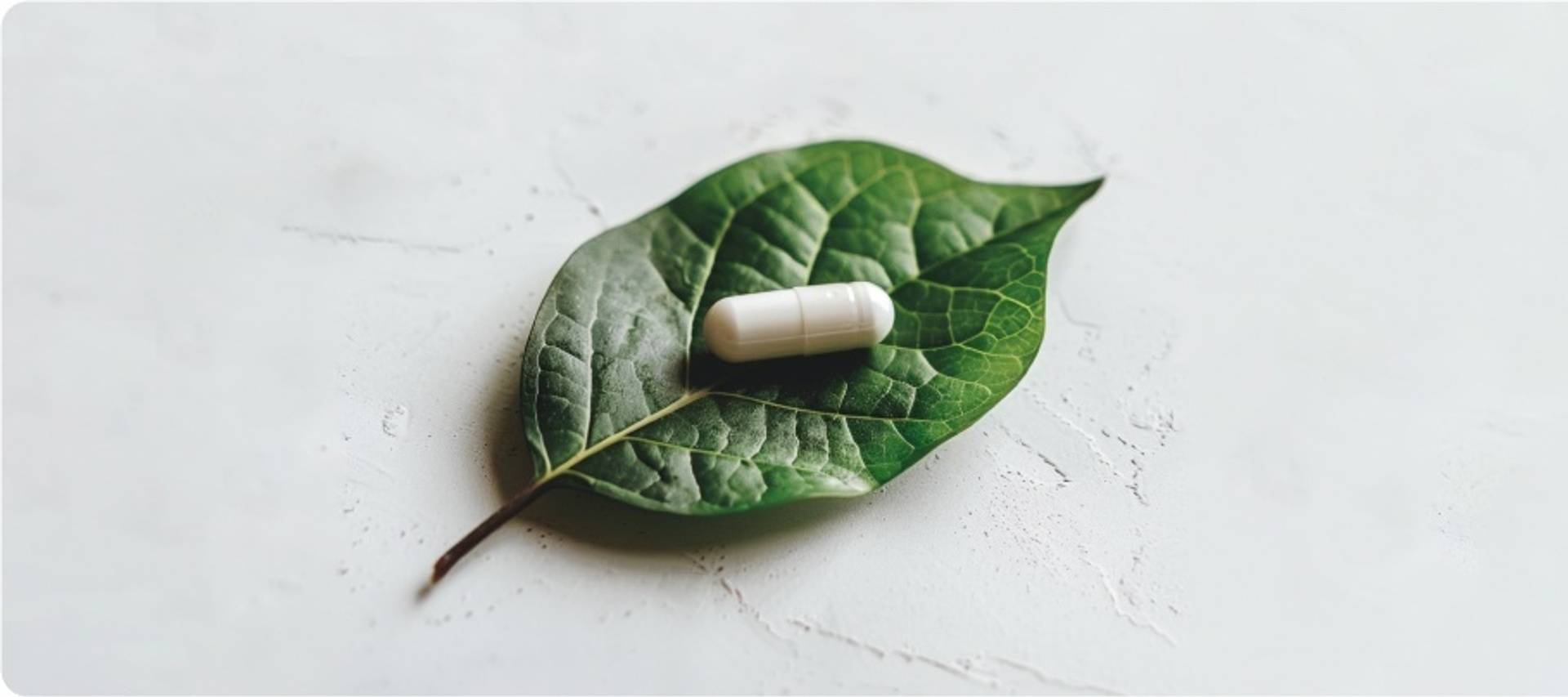 Leaf-capsule-01.jpg