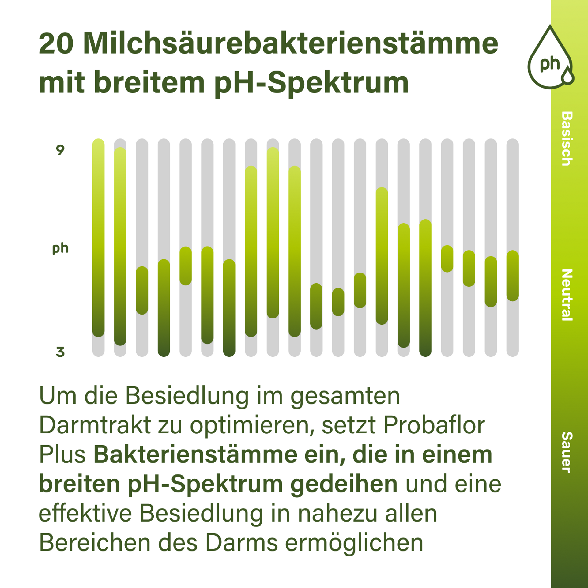 Bild von stilisiertem pH-Werte-Spektrum mit Hinweis 20 Milchsäurebakterienstämme mit breitem pH-Spektrum