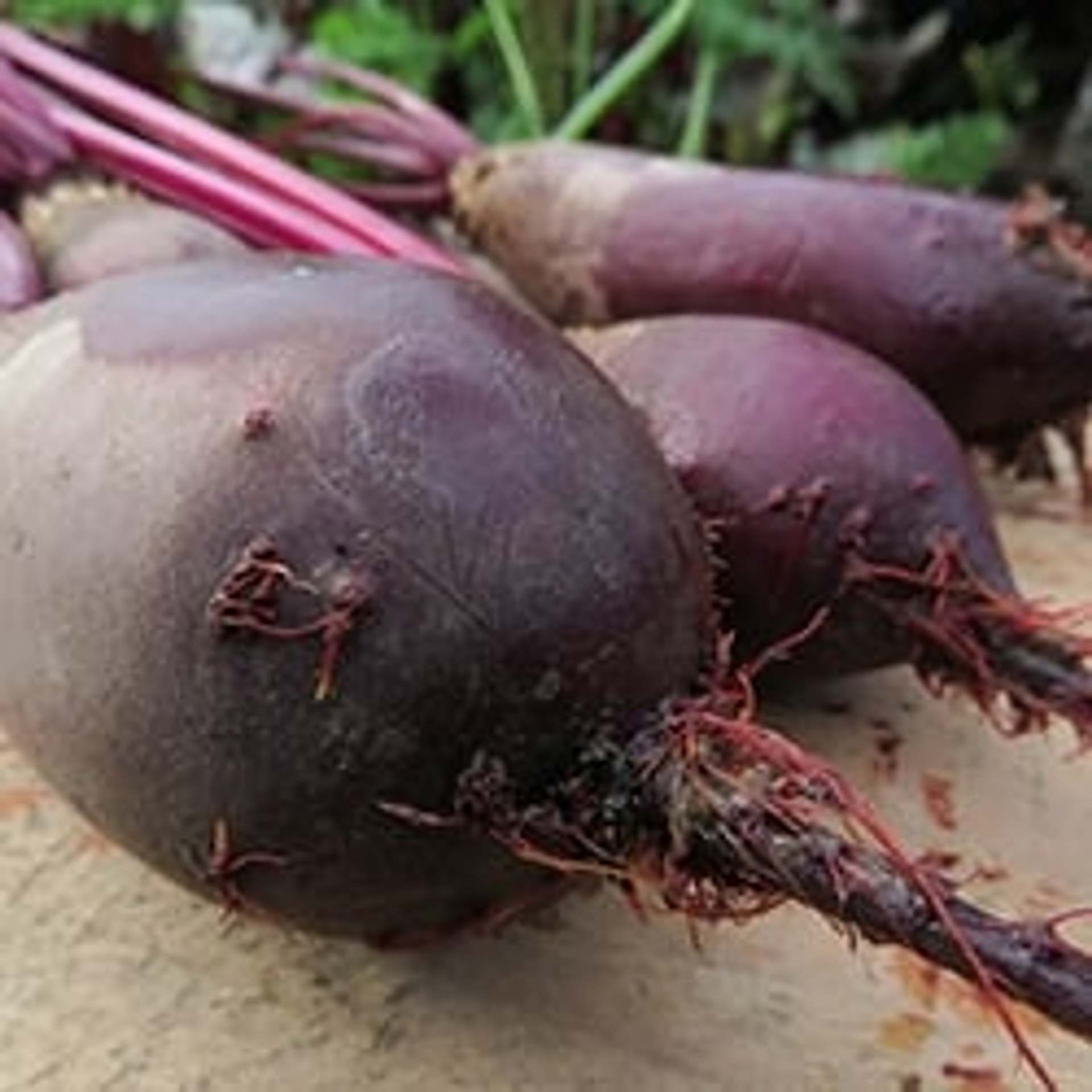 Buying Beetroot - What you should know