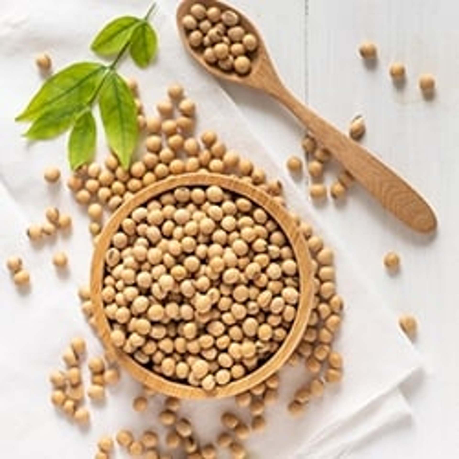 Soy protein is ideal for people with milk and egg allergies and is also suitable as a meat substitute.