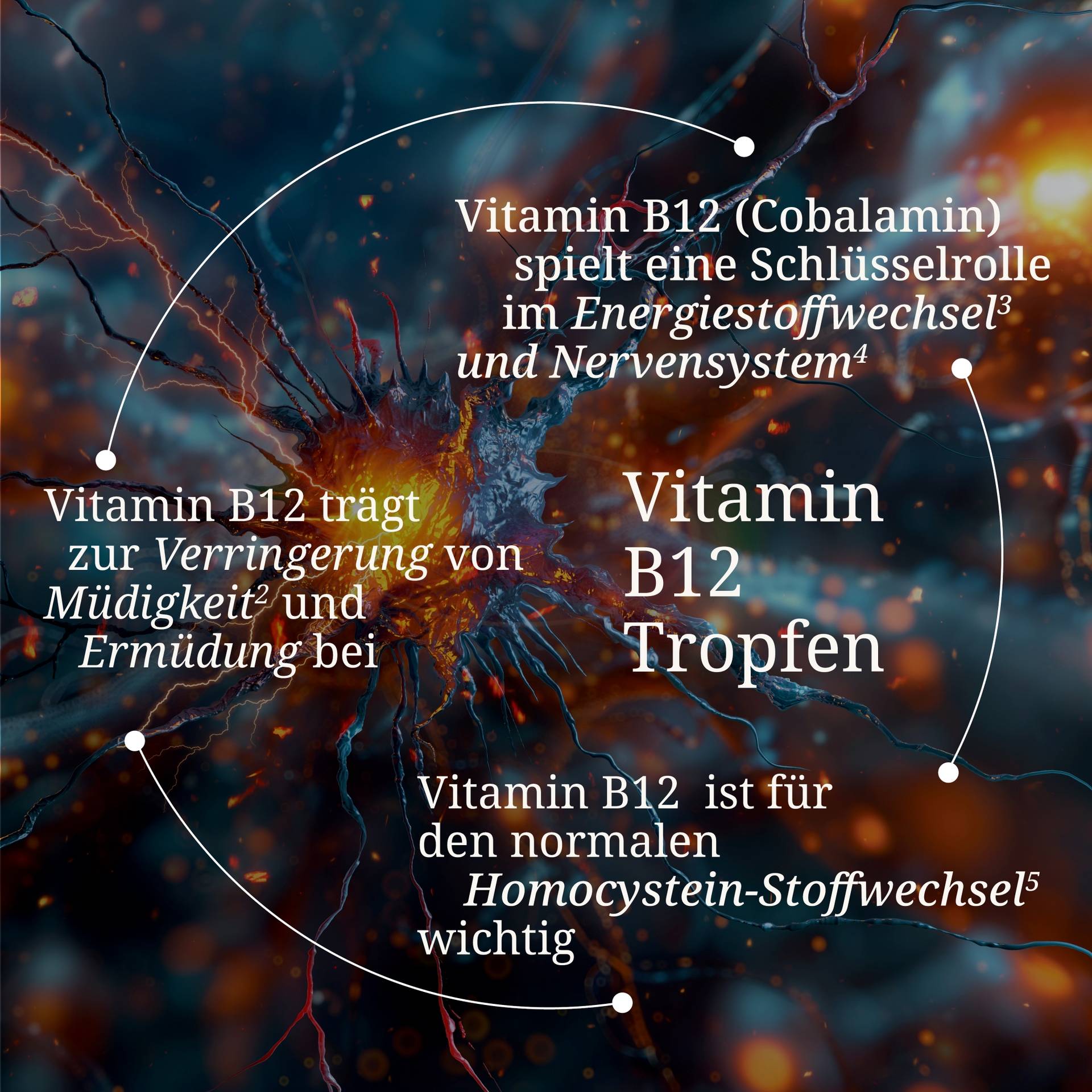 Vitamin B12 Tropfen.jpg