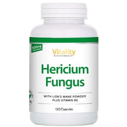 Hericium Fungus