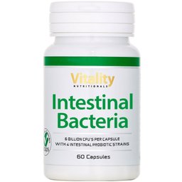 Bactéries intestinales - probiotiques