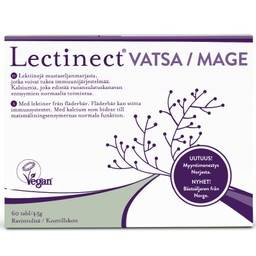 Lectinect Mage
