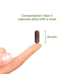 6_Dosage_Hilife Multivitamin_6900-04_EN.png