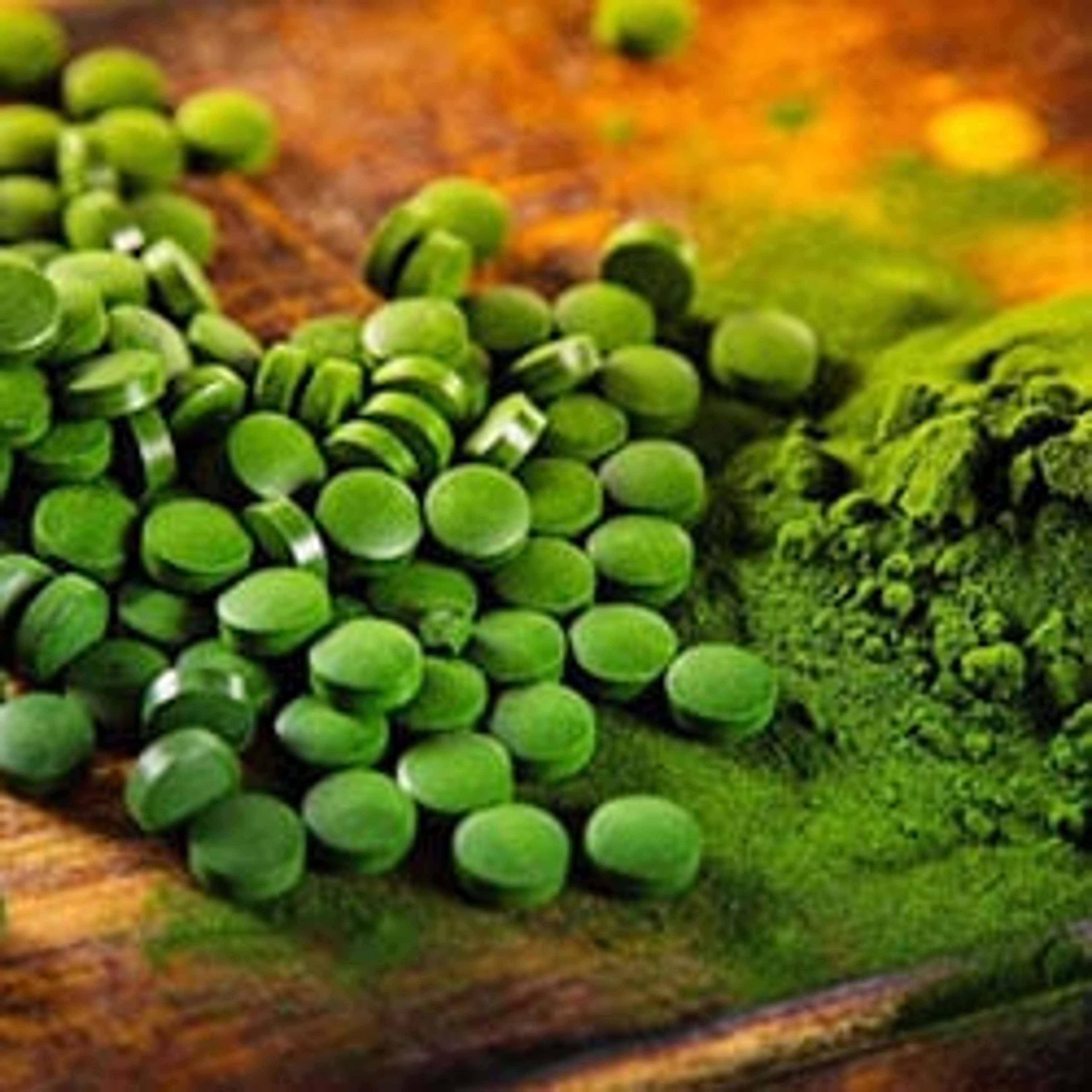 Chlorella Wirkung, Dosierung, Nebenwirkungen VitaminExpress