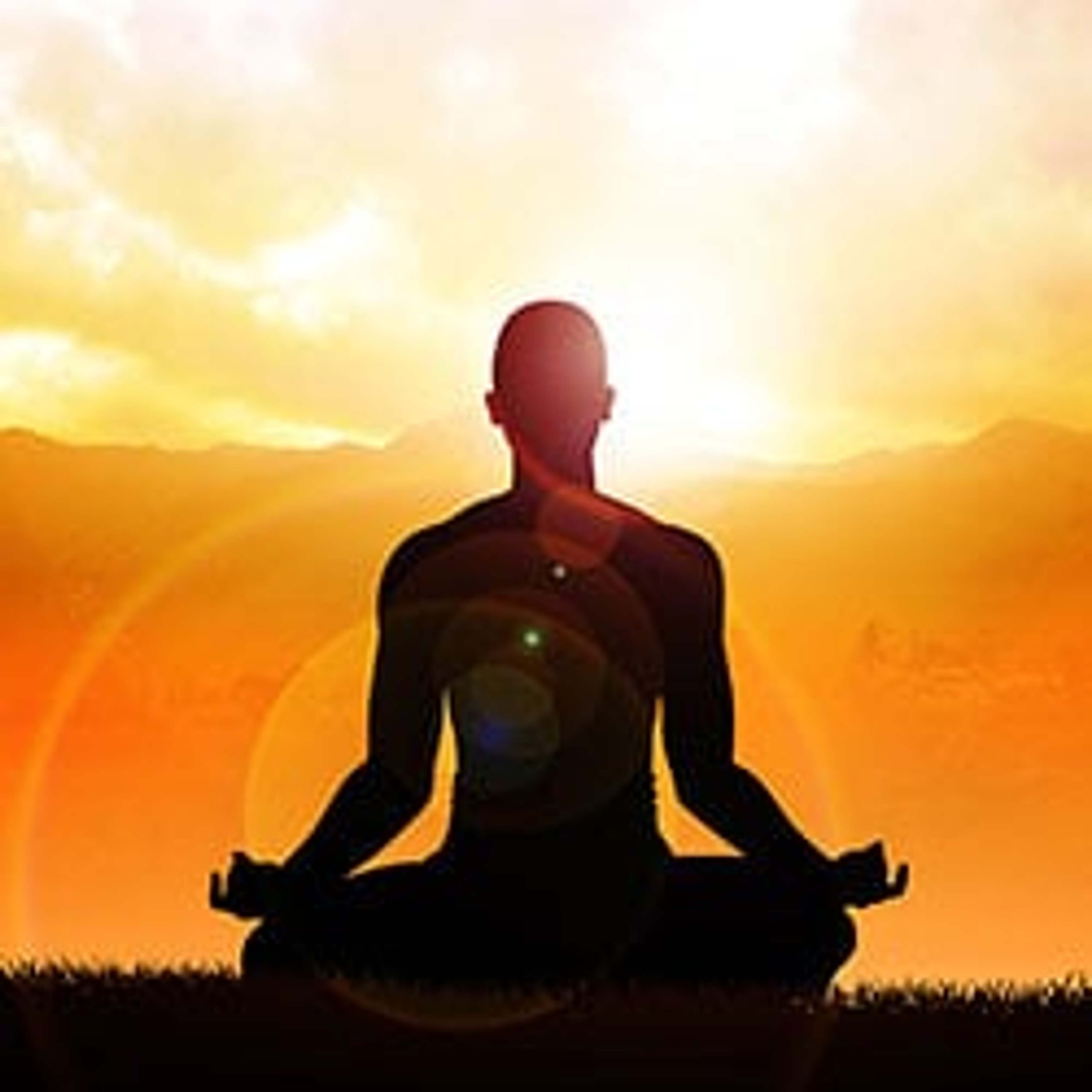 Ashwagandha vahvistaa immuunijärjestelmää, lisää suorituskykyä, edistää sisäistä rauhaa ja takaa henkisen tyytyväisyyden.