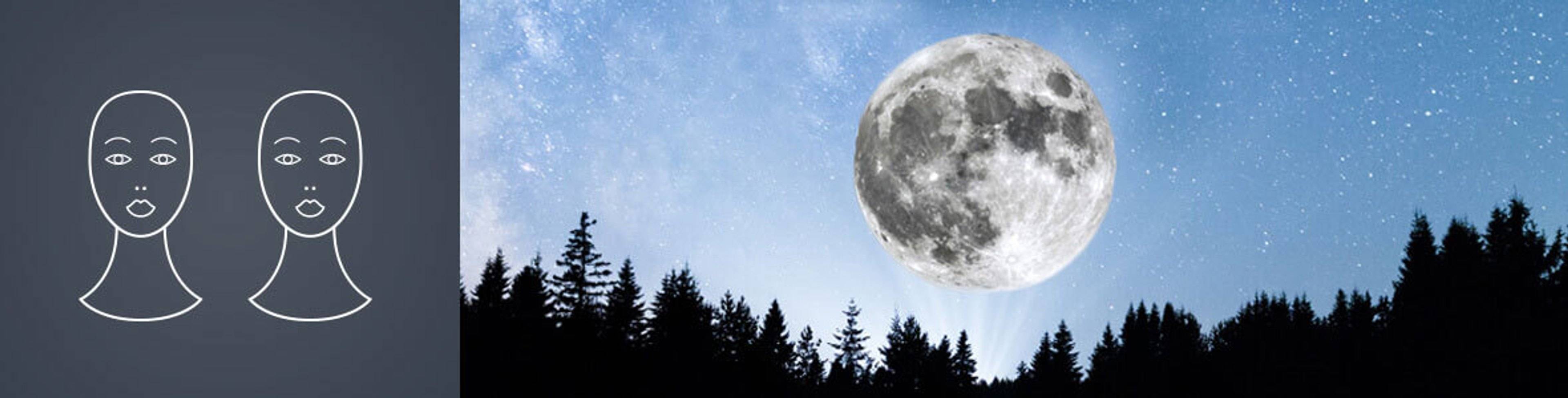 Header-Zwilling.jpg