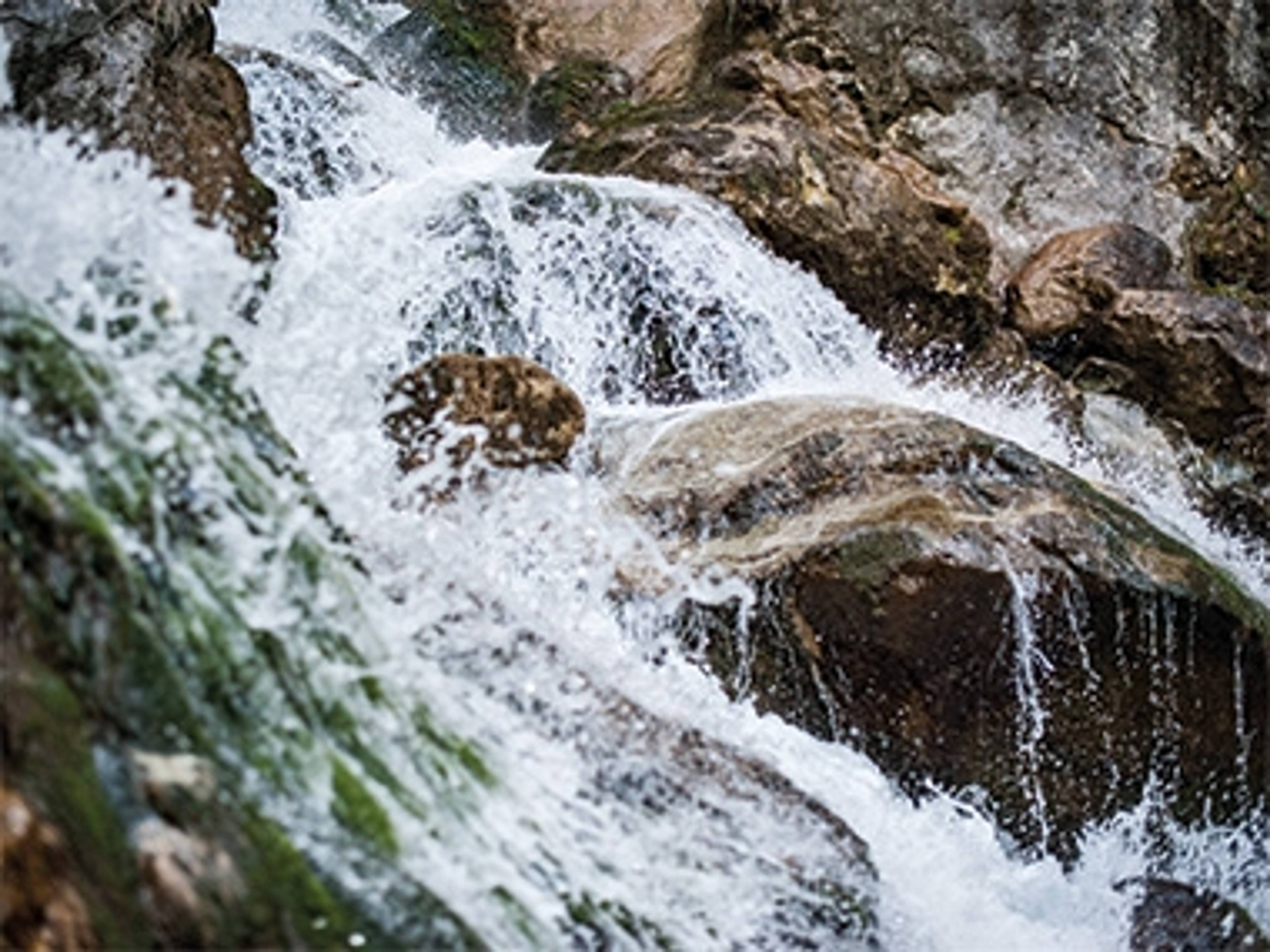 levitiertes-wasser-einstieg.jpg
