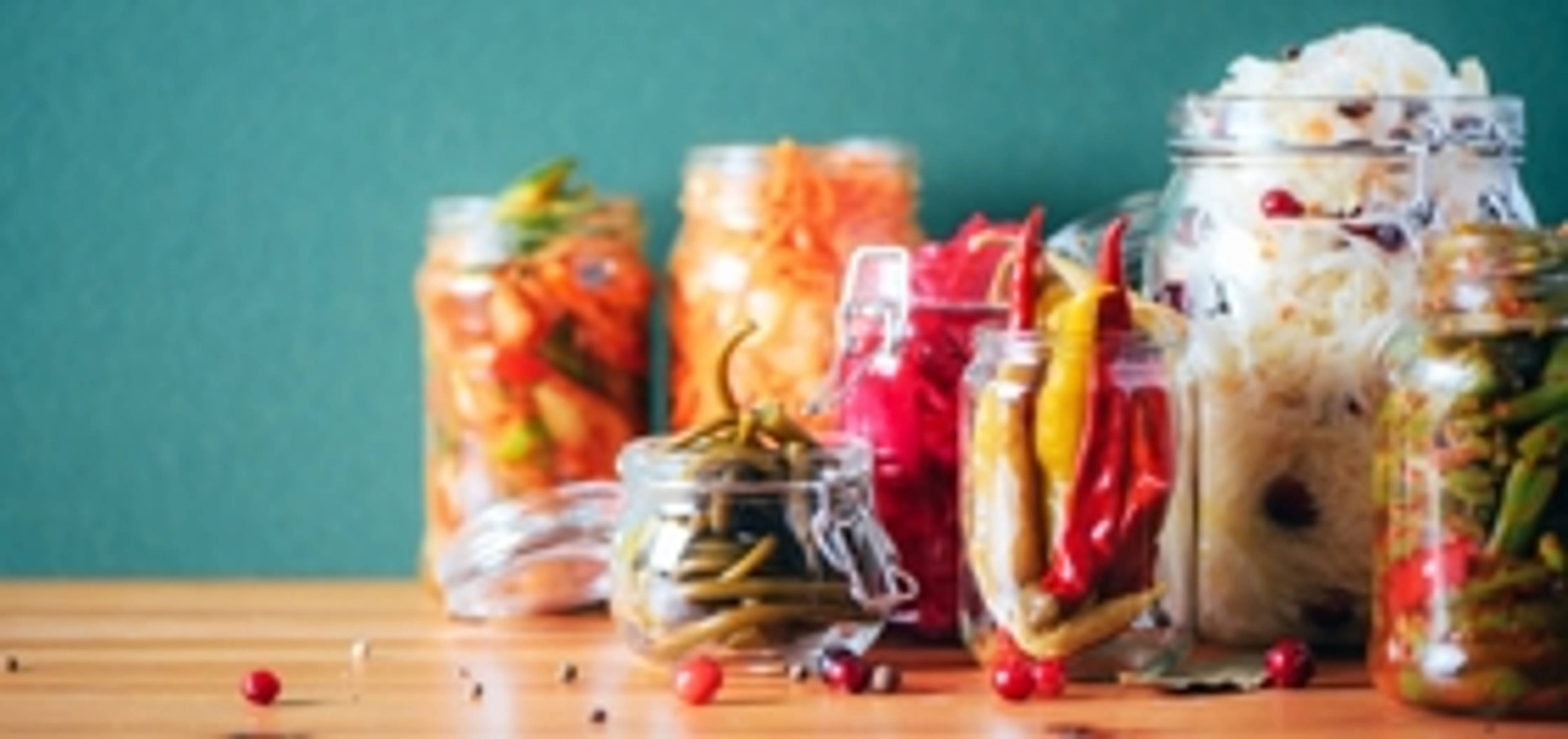 Lexikon_Fermentation_Beitragsbild.jpg