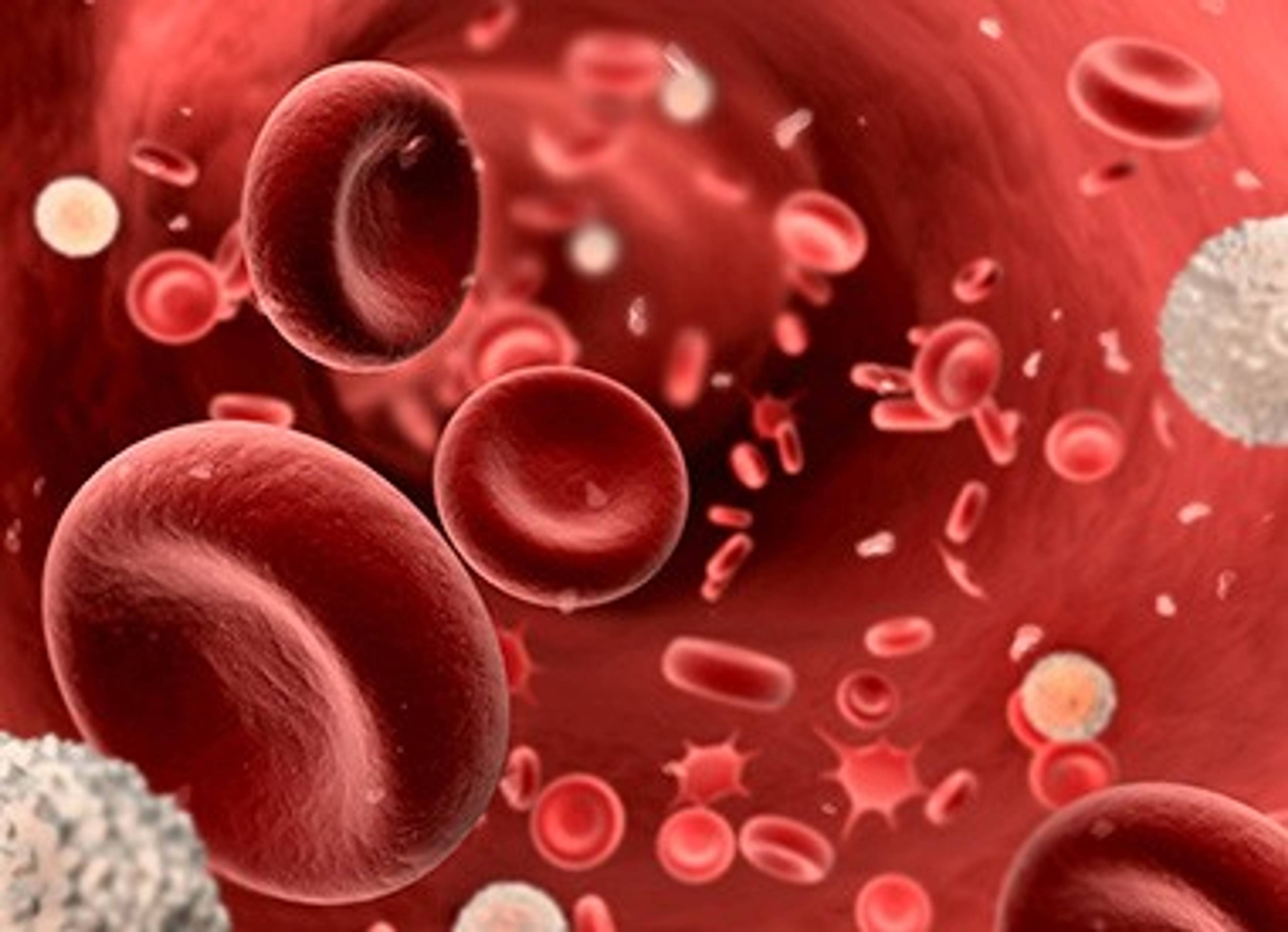 blut-fliesst-zirkulation.jpg