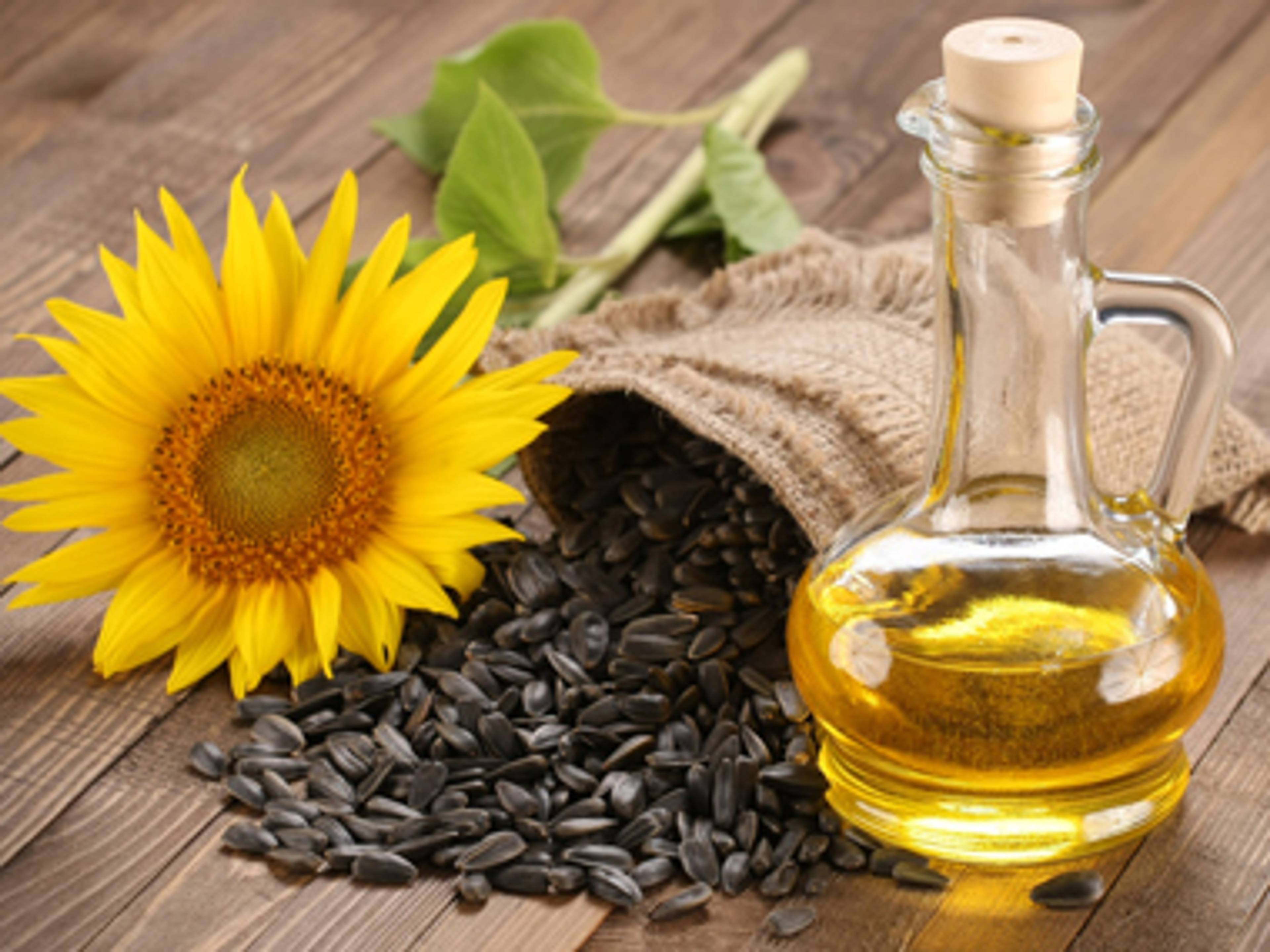 oelziehen_zusatz_sonnenblumenoel.jpg