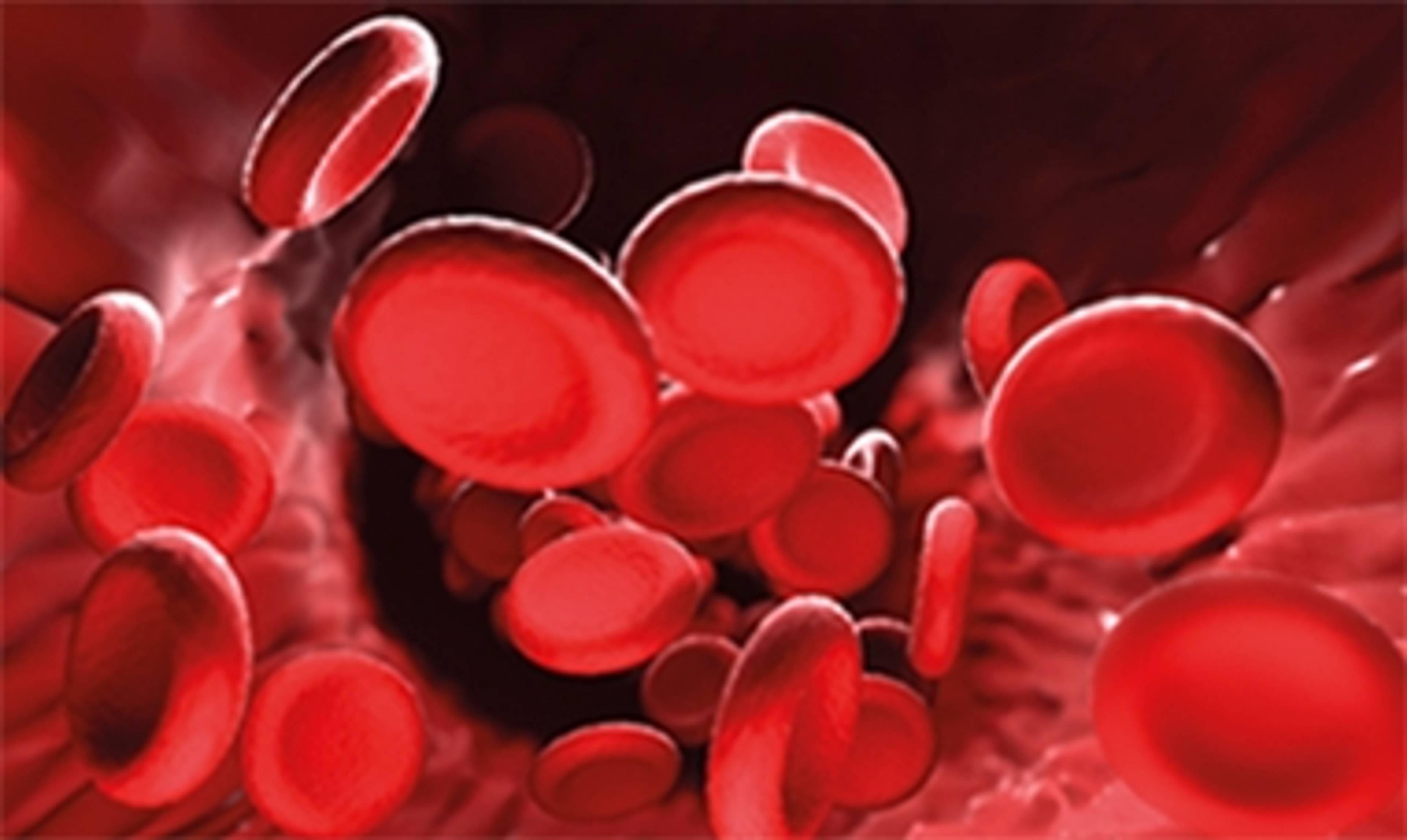 Rote_Blutkoerperchen.jpg