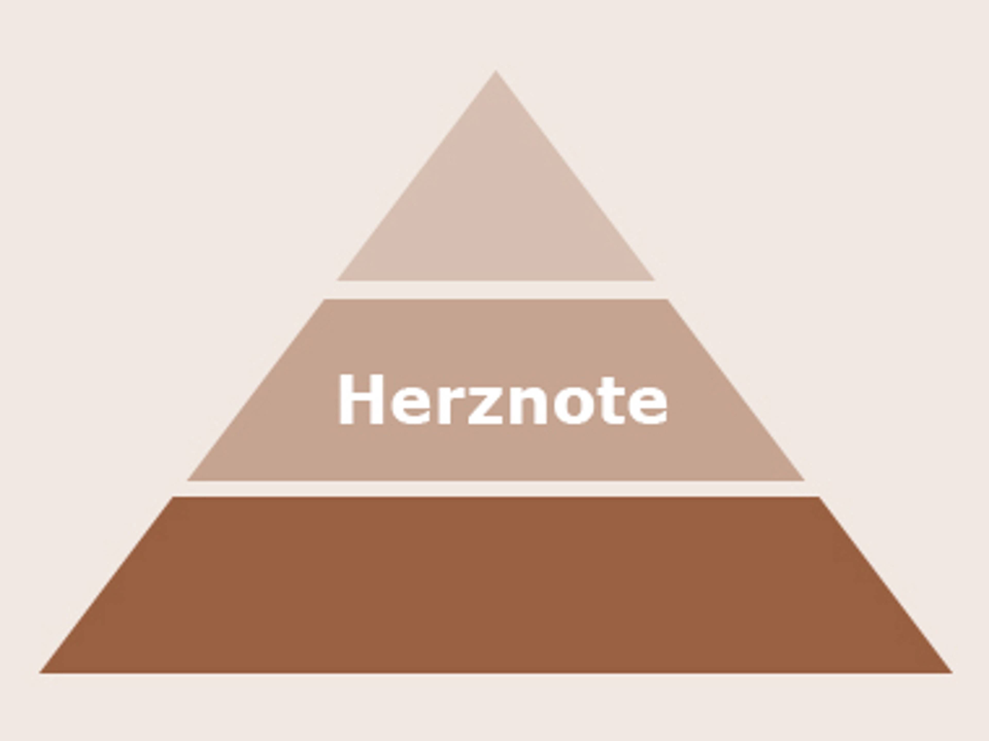 herznote_einstieg.jpg