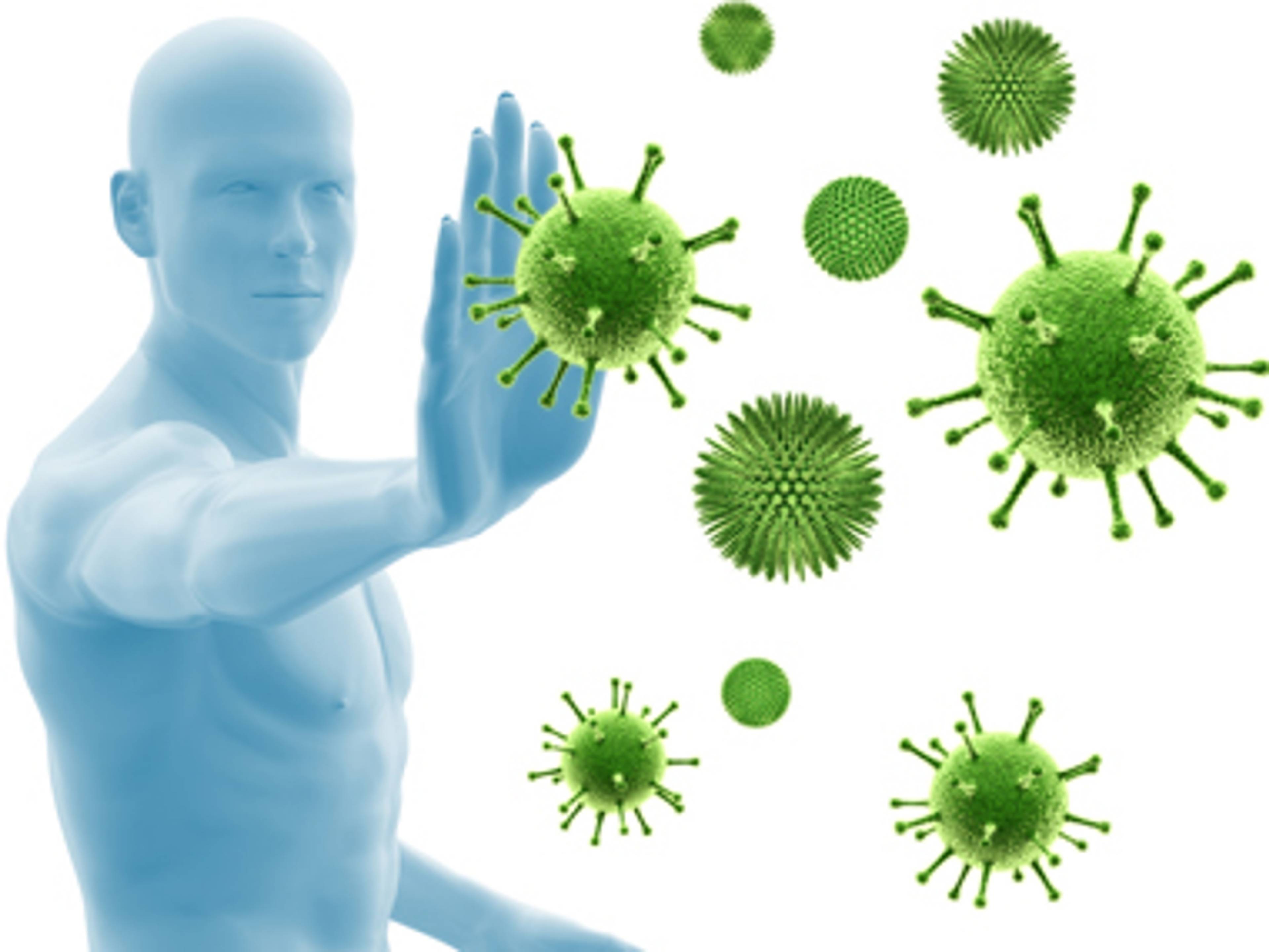 immunsystem_zusatz.jpg