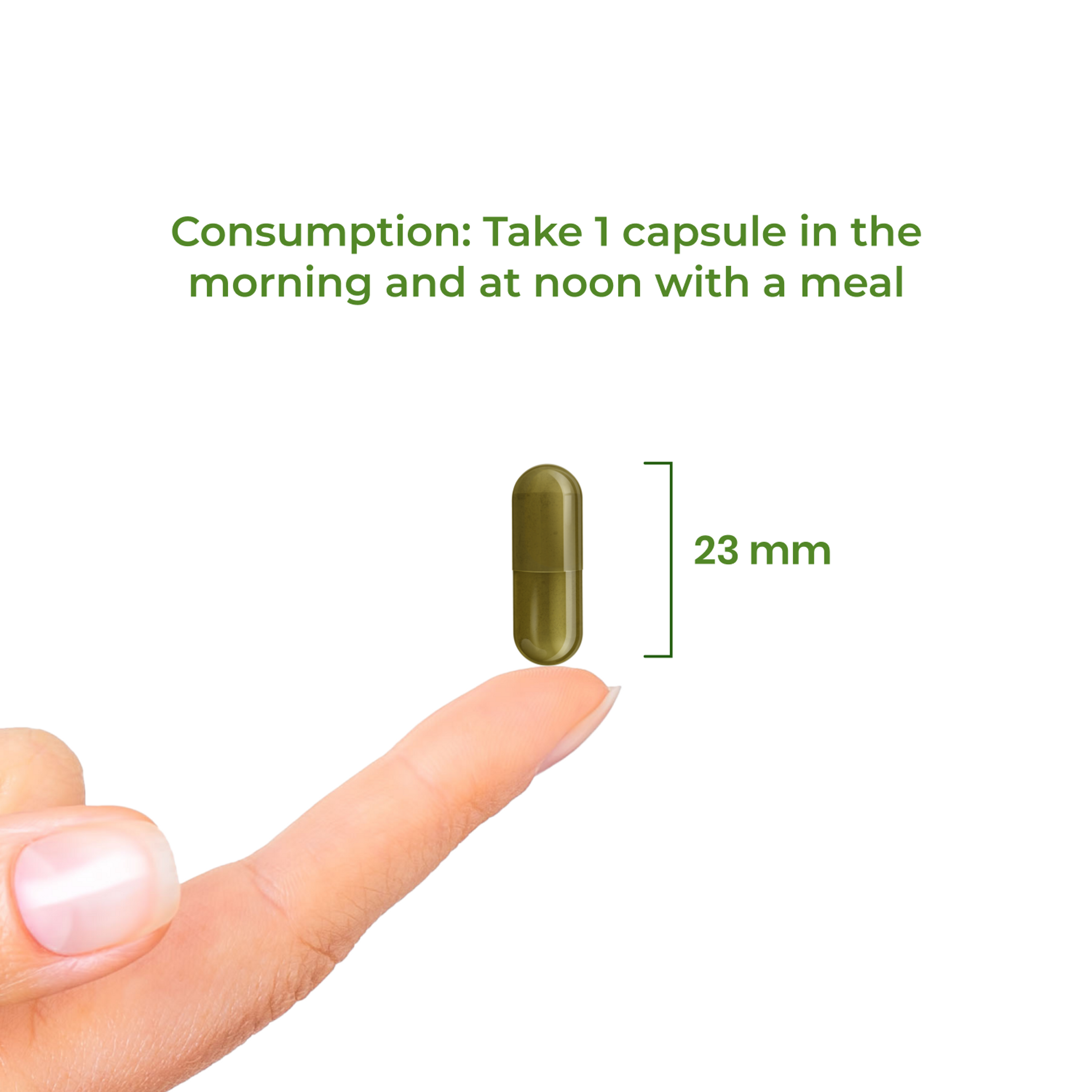 6_Dosage_Brainpower_4833-11_EN.png