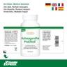 Ashwagandha-ProEliteX-60-Kapseln_41,7_Packshot-Dose-mit-Etikett-multilingual+Flaggen+VE-Footer_1600x1600px_72dpi_20230724.jpg