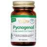 vitality-nutritionals-pycnogenol_1.jpg