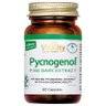 Pycnogenol 100mg - 60  Capsules