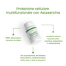 3_IT_Benefits_Astaxanthin_Royal_6998-11.png