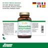 Astaxanthin10mgProEliteXCaps_Packshot-mit-Etikett+Flaggen+VE-Footer_1600px_72dpi.JPG