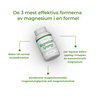 3_SE_Benefits_Magnesium Synergy_6813-04.png