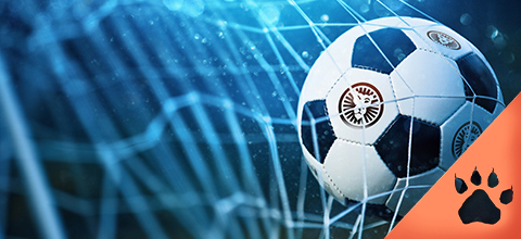 A Guide to World Cup 2026 Soccer Betting | LeoVegas Canada