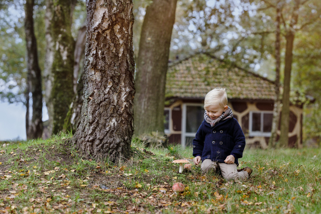 Ga er deze herfstvakantie op uit in regio Zuid Leukstetickets.nl