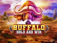 Buffalo Hold and Win