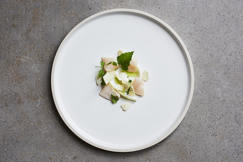 Scallop, green almonds, nettle