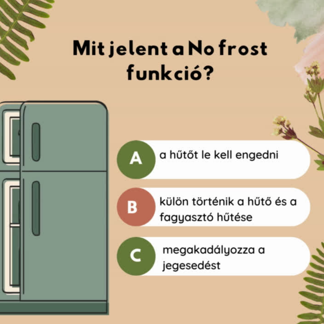 hűtő funkciói_no frost.png