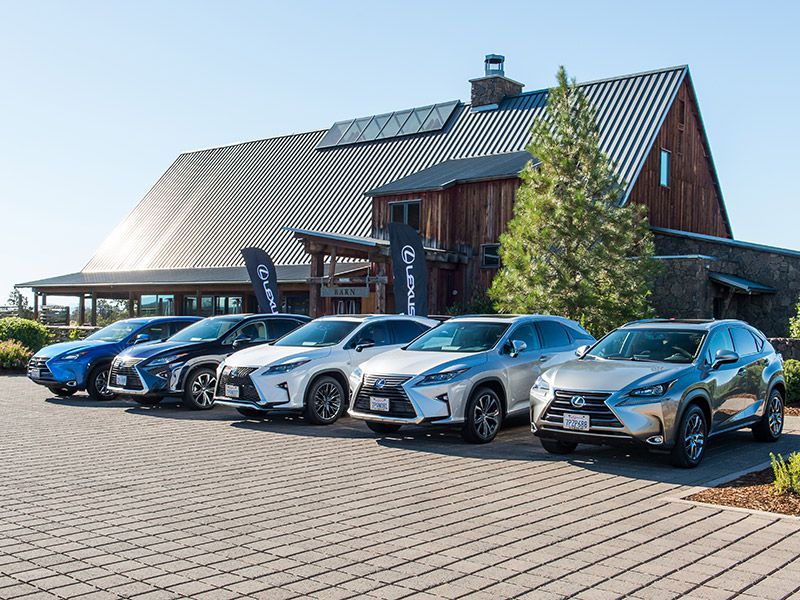 5 Lexus SUVs at Heels and Wheels Event NX RX GX LX 