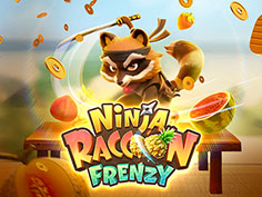 Ninja Raccoon Frenzy