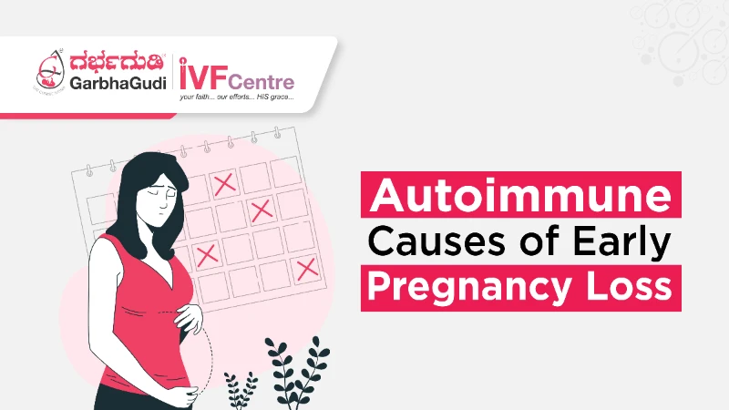 Exploring Autoimmune Causes of Early Pregnancy Loss