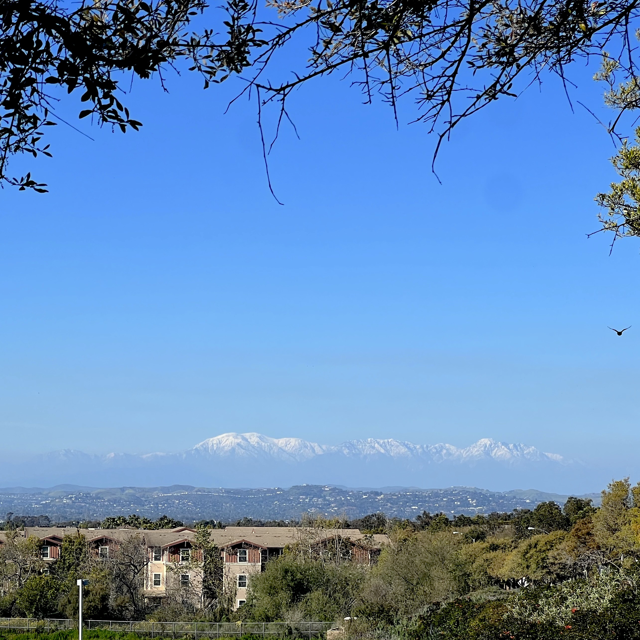 Wide shot overlooking Irvine, CA with houses in the foreground and snowcapped mountains in the background