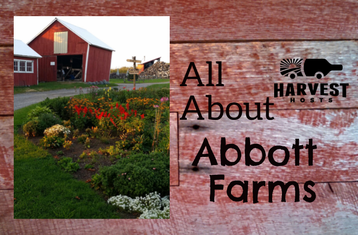 All About Abbott Farms